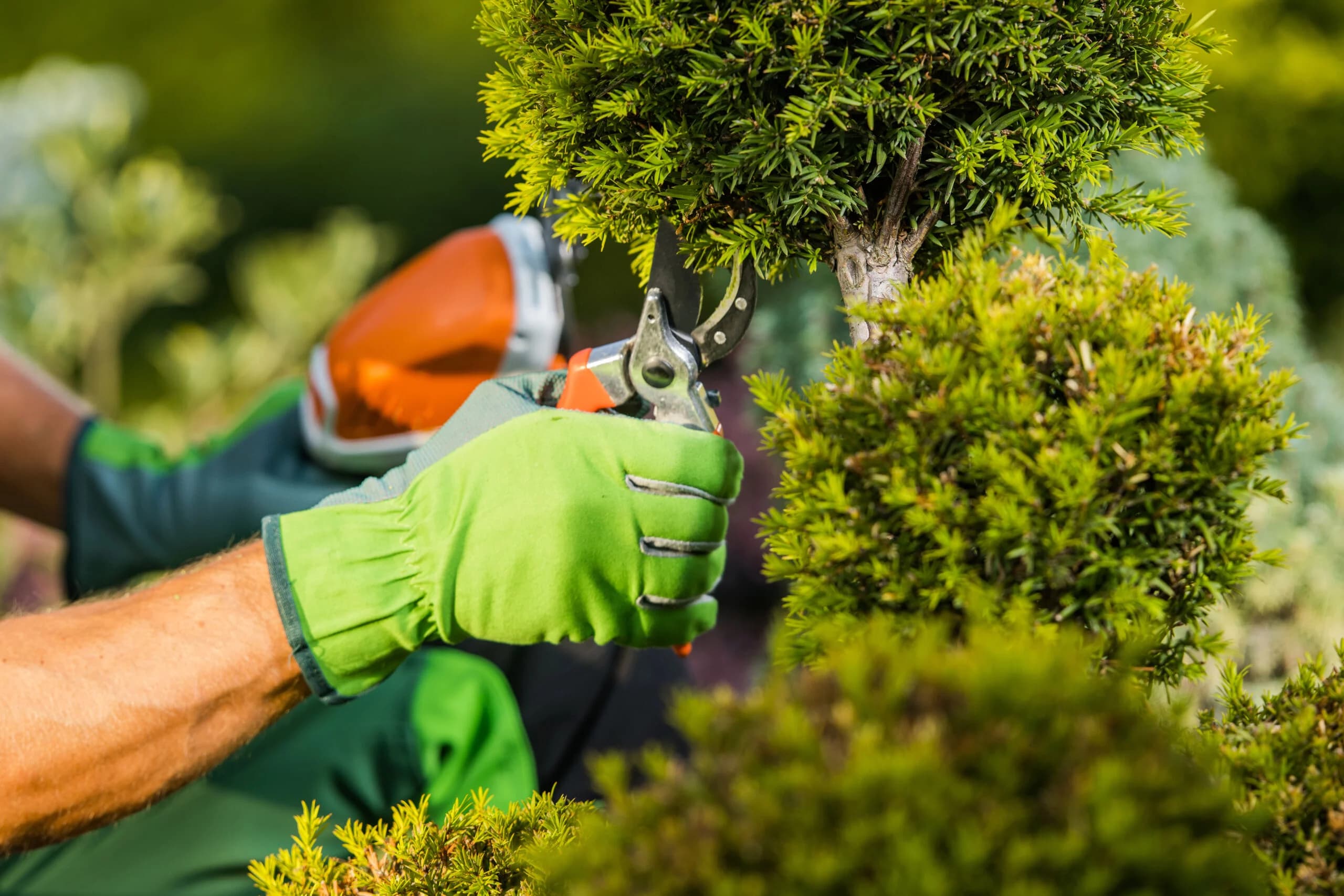 Landscape Design